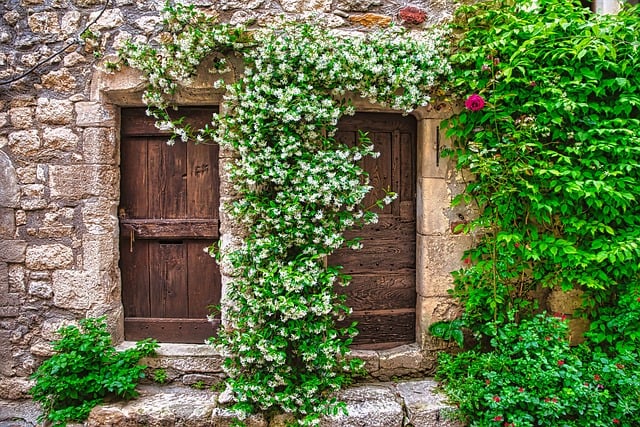 Garage Door