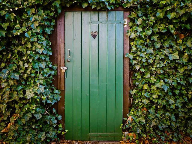 Chicago Curb Appeal: Elevating Homes with Stylish Garage Door Accessories