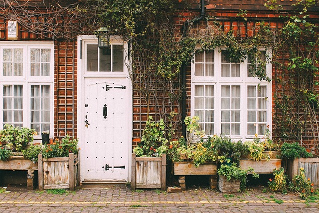 Tacoma’s Guide to Garage Door Spring Repair Services for Home and Business