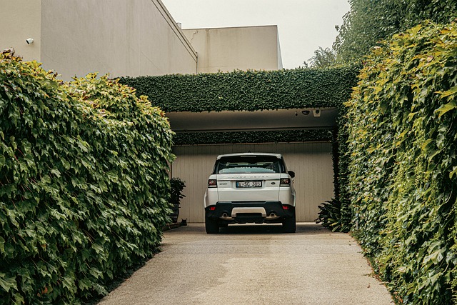 Eco-Friendly Garage Door Upgrades for Energy Savings in Tacoma Homes