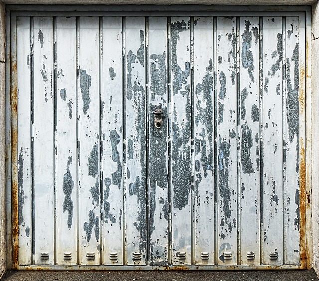 Enhancing Home Security: The Rise of High-Tech Garage Doors in Chicago