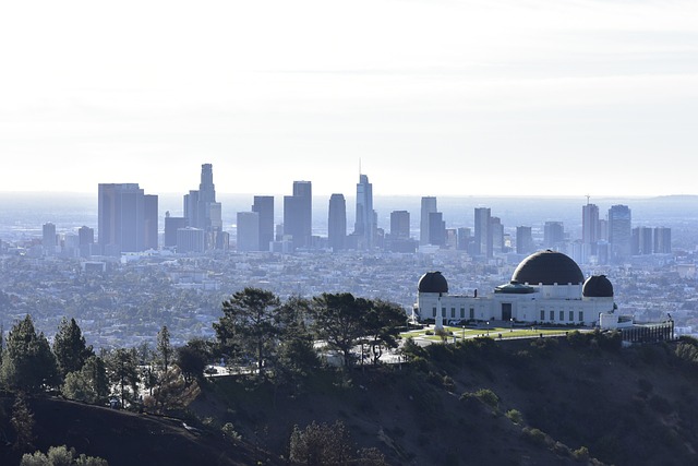 Affordable Garage Door Services Los Angeles