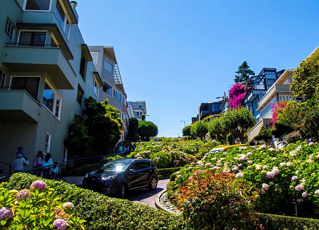 Affordable Garage Door Repair in San Francisco Bay Area: Meet Local Needs