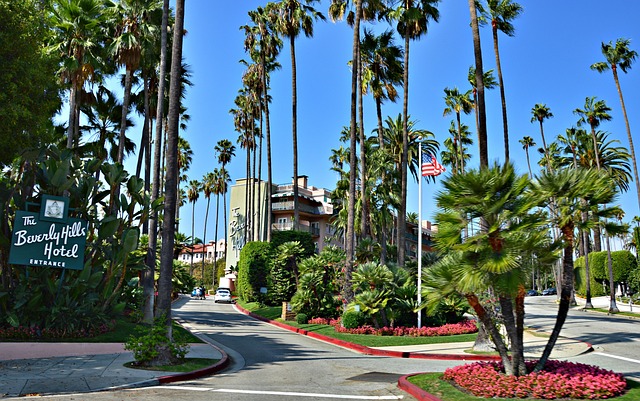 Automatic Garage Doors Los Angeles