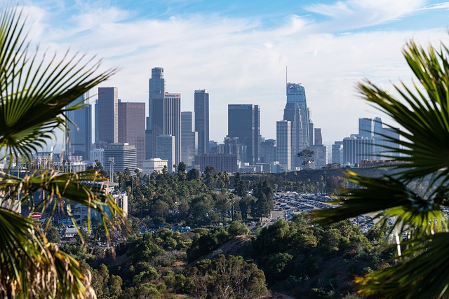 Emergency Garage Door Repair Los Angeles