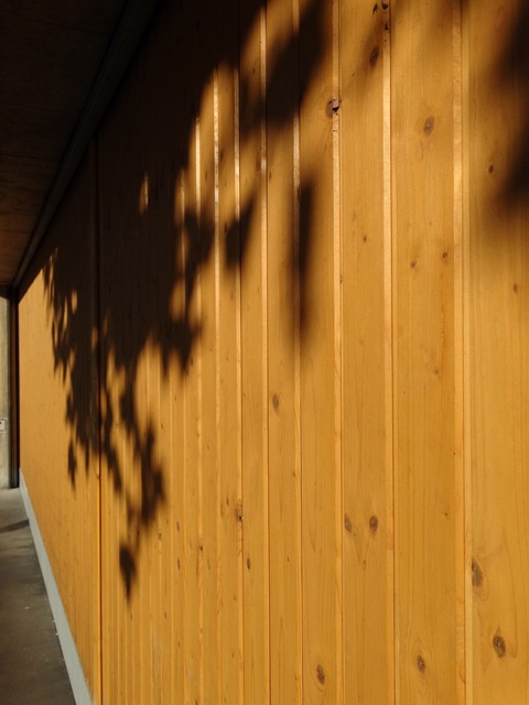 Seamless Garage Door Panel Swap in Tacoma Using Tracks and Rollers