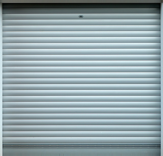 Garage Door