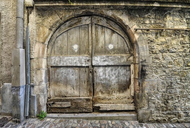 Vintage Garage Doors: Unlocking History in Tacoma’s Neighborhoods