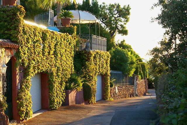 Garage Door Spring Replacement: Unlocking Safe & Efficient Houston Homes