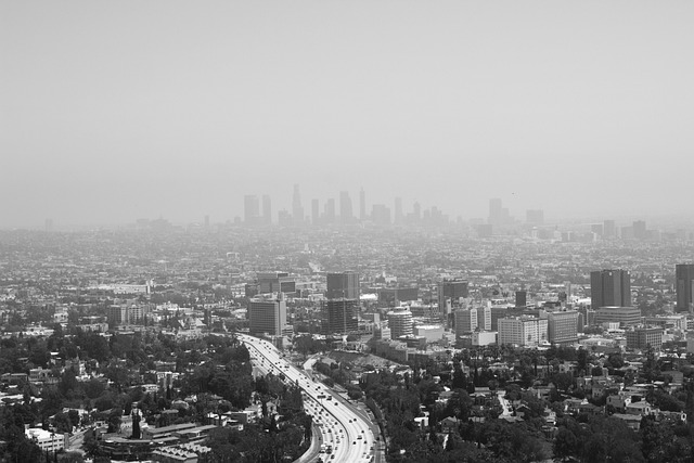 Garage Door Troubleshooting Los Angeles