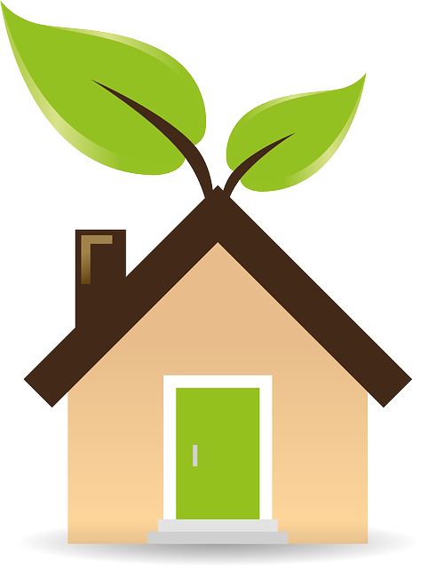 Eco-Friendly Garage Door Options SF