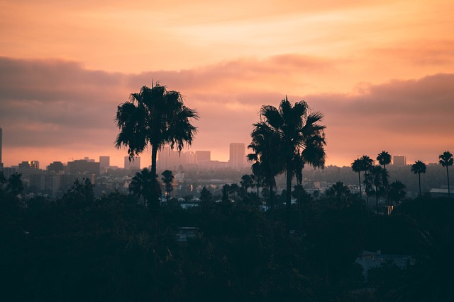 Emergency Garage Door Repair Los Angeles