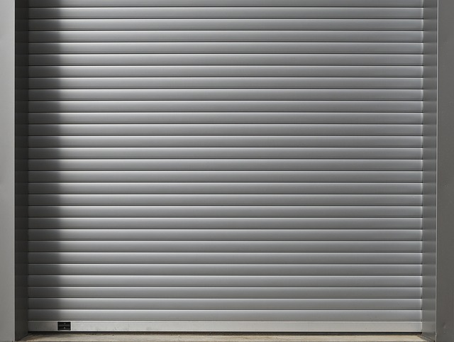 Garage Door