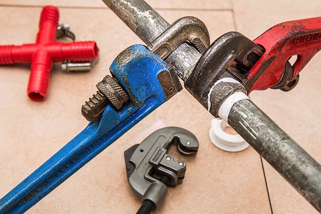 Garage Door Troubleshooting & Maintenance Tips for Bay Area Homes