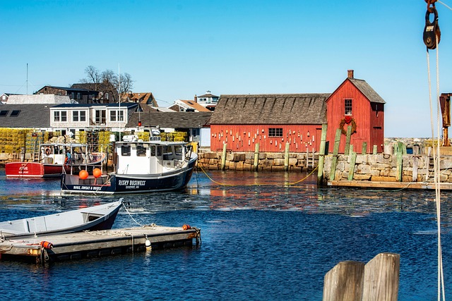 Local Garage Door Technicians Boston