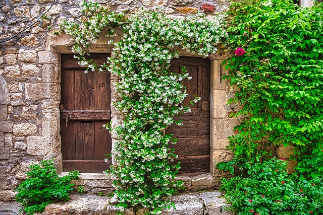 Maintain Your Atlanta Garage Door: Essential DIY Tips for Homeowners