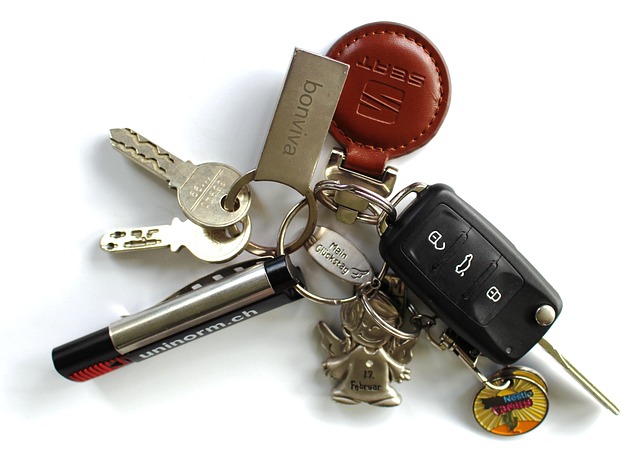 Expert Garage Door Remote Repair & Programming in LA