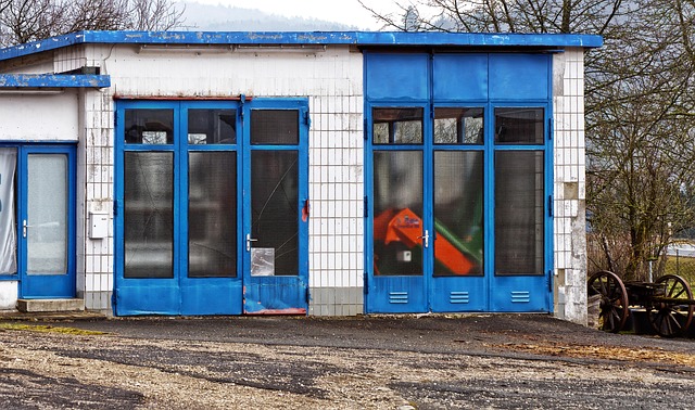 Elevate Your Home: Trendy Garage Door Designs for St. Louis