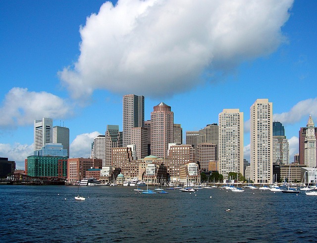 Garage Door Replacement Options Boston