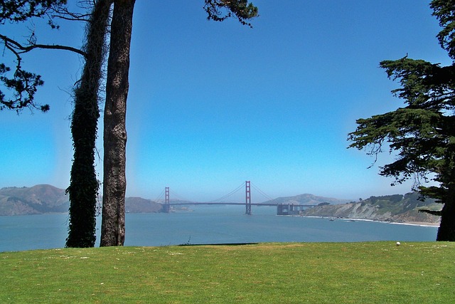 Bay Area Residents: DIY Garage Door Troubleshooter’s Guide to San Francisco