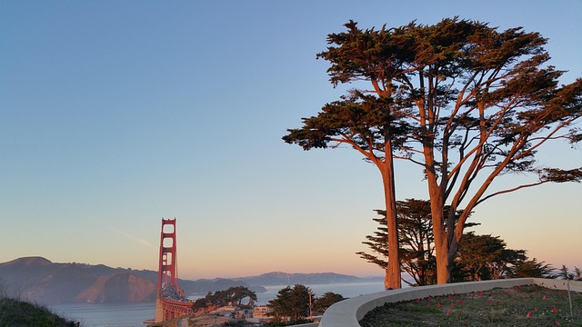 affordable-garage-door-services-san-fran-640x480-50030308.jpeg