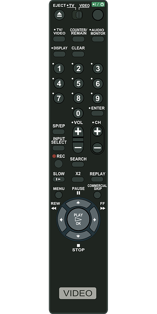 Garage Door Remote Programming Los Angeles