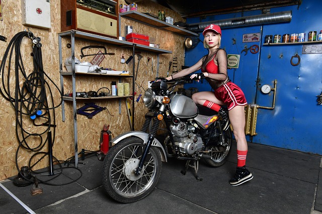 Garage Door Repair Services Houston